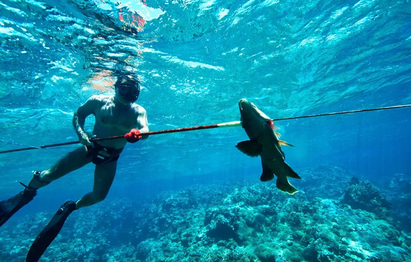 Spear fishing under water